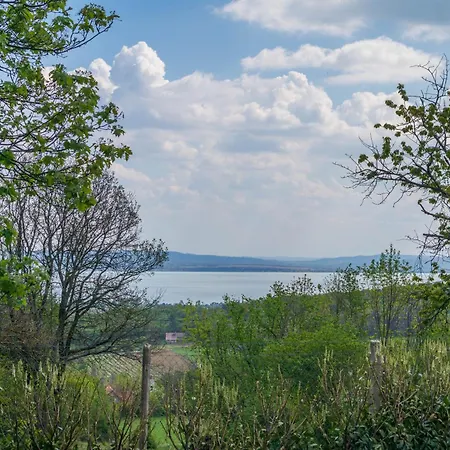 Comfort House W Ac By Nw Apartmán Balatonudvari